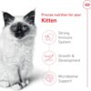 Royal Canin Feline Health Nutrition Kitten Dry Cat Food, 7 lbs.