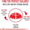 Royal Canin Feline Health Nutrition Kitten Dry Cat Food, 7 lbs.