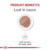 Royal Canin Feline Health Nutrition Kitten Loaf in Sauce Wet Cat Food, 3 oz., Case of 24