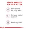 Royal Canin Feline Health Nutrition Kitten Loaf in Sauce Wet Cat Food, 3 oz., Case of 24