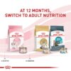 Royal Canin Feline Health Nutrition Kitten Loaf in Sauce Wet Cat Food, 5.1 oz., Case of 24