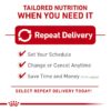 Royal Canin Feline Health Nutrition Kitten Thin Slices in Gravy Canned Cat Food, 3 oz., Count of 24