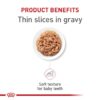 Royal Canin Feline Health Nutrition Kitten Thin Slices in Gravy Canned Cat Food, 3 oz., Count of 24