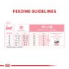 Royal Canin Feline Health Nutrition Kitten Thin Slices in Gravy Canned Cat Food, 3 oz., Count of 24