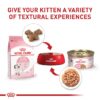 Royal Canin Feline Health Nutrition Kitten Thin Slices in Gravy Canned Cat Food, 3 oz., Count of 24