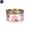 Royal Canin Feline Health Nutrition Kitten Thin Slices in Gravy Canned Cat Food, 3 oz., Count of 24