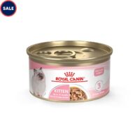 Royal Canin Feline Health Nutrition Kitten Thin Slices in Gravy Canned Cat Food, 3 oz., Count of 24