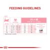 Royal Canin Feline Health Nutrition Kitten Thin Slices in Gravy Canned Cat Food, 54 oz., Count of 18