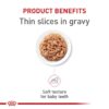 Royal Canin Feline Health Nutrition Kitten Thin Slices in Gravy Canned Cat Food, 54 oz., Count of 18