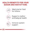 Royal Canin Feline Health Nutrition Mother & Babycat Babycat / Queen Ultra Soft Mousse in Sauce Cat Food, 3 oz., Case of 24