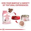 Royal Canin Feline Health Nutrition Mother & Babycat Babycat / Queen Ultra Soft Mousse in Sauce Cat Food, 3 oz., Case of 24