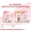 Royal Canin Feline Health Nutrition Mother & Babycat Babycat / Queen Ultra Soft Mousse in Sauce Cat Food, 3 oz., Case of 24