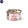 Royal Canin Feline Health Nutrition Mother & Babycat Babycat / Queen Ultra Soft Mousse in Sauce Cat Food, 3 oz., Case of 24