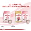 Royal Canin Feline Health Nutrition Mother & Babycat Babycat / Queen Ultra Soft Mousse in Sauce Cat Food, 5.1 oz., Case of 24