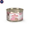 Royal Canin Feline Health Nutrition Mother & Babycat Babycat / Queen Ultra Soft Mousse in Sauce Cat Food, 5.1 oz., Case of 24