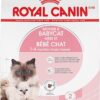 Royal Canin Feline Health Nutrition Mother & Babycat Queen Dry Cat Food, 6 lbs.