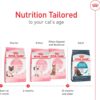 Royal Canin Feline Health Nutrition Mother & Babycat Queen Dry Cat Food, 6 lbs.
