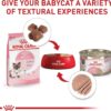 Royal Canin Feline Health Nutrition Mother & Babycat Queen Dry Cat Food, 6 lbs.