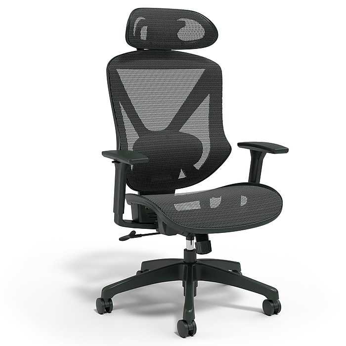 Staples® Dexley Ergonomic Mesh Swivel Task Chair, Black (UN56946)