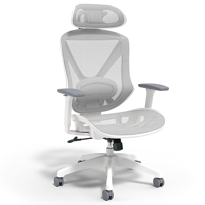 Staples Ergonomic Task Chair, Mesh, Ergonomic, Lumbar Support, Gray