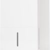 hOmeLabs Dehumidifier 7,000 Sq Ft 50 Pint (MAX 120 Pint at 95°F, 90% RH) | WIFI + Upgraded Advanced Humidity & Moisture Control, Quiet, Efficient, Auto Shut-off, Ideal for Home, Basement, Office