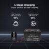 Renogy Solar Charge Controller Rover 40A 12V24V Auto Parameter DC Input MPPT Charge Controllers for Solar Panels Adjustable LCD for Gel Sealed Flooded Lithium Battery