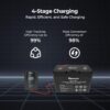 Renogy Solar Charge Controller (Bluetooth)- Rover 20A 12V24V Auto DC Input MPPT Charge Controllers for Solar Panels Adjustable LCD for Gel Sealed Flooded Lithium Battery