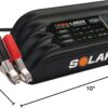 Clore Automotive PL2140, 4-Amp Fully-Automatic Smart Charger, 6V and 12V Battery Charger, Battery Maintainer, and Battery Desulfator with Temperature Compensation, Gray
