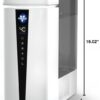 Vornado MISTIC 8 Whole Room Ultrasonic Humidifier, Top-Fill, Aromatherapy, 2-Gallon Tank, 3-Gallon Output, Warm or Cool Mist Humidifier, Automatic Humidity Control, Included Scent Pads