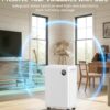 PLUSCENT 32 Pint Dehumidifier for Basement, 2500 sq.ft Dehumidifiers for Home with Drain Hose, 3 Modes, Auto Defrost, 24H Timer, Quiet Smart Humidity Control for Large Room, Bedroom, Bathroom, RV