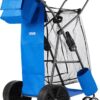 VEVOR Beach Cart, 165LBS Load Capacity, Portable Folding Beach Wagon Dolly with 10" Solid Wheel for Sand, Insulated Cooler Bag, Large Mesh Bag&Umbrella Holder for Outdoor Camping Fishing