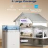 avylo Dehumidifier for Basement with Pump and Hose, Max 90 Pints/D, White | Energy Star Most Efficient 2025,5000 Sq.Ft Dehumidifier,Top Mounted 2.11Gal Tank,3 Drainage Option,Auto Shut Off,Auto Defrost avylo Dehumidifier for Basement with Pump and Hose, Max 90 Pints/D, White | Energy Star Most Efficient 2025,5000 Sq.Ft Dehumidifier,Top Mounted 2.11Gal Tank,3 Drainage Option,Auto Shut Off,Auto Defrost