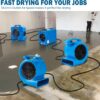 Mounto 1/2hp Air Mover Floor Drying Blower Fan - Powerful 1/2HP Motor Carpet Dryer, 2200 CFM Air Flow, Lightweight Design, 2-Speed Settings for Drying, Cooling & Circulation Mounto 1/2hp Air Mover Floor Drying Blower Fan - Powerful 1/2HP Motor Carpet Dryer, 2200 CFM Air Flow, Lightweight Design, 2-Speed Settings for Drying, Cooling & Circulation