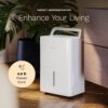 hOmeLabs Dehumidifier 1,800 Sq Ft 8 Pint (MAX 24 Pint at 95°F, 90% RH) | WIFI + Upgraded Advanced Humidity & Moisture Control, Quiet, Efficient, Auto Shut-off, Ideal for Home, Basement, Office