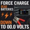 Clore Automotive PL2140, 4-Amp Fully-Automatic Smart Charger, 6V and 12V Battery Charger, Battery Maintainer, and Battery Desulfator with Temperature Compensation, Gray