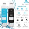 Avalon Genuine Replacement Filters for Avalon Bottleless Water Coolers, NSF Certified, Patented, 2 Count (Pack of 1)