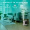 Vornado MISTIC 8 Whole Room Ultrasonic Humidifier, Top-Fill, Aromatherapy, 2-Gallon Tank, 3-Gallon Output, Warm or Cool Mist Humidifier, Automatic Humidity Control, Included Scent Pads
