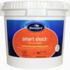 BioGuard Smart Shock 25 lb, Algae Preventative, Swimming Pool Clarifier, Pool Shock Treatment, Multi-Purpose Shock for Pool Maintenance