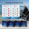 Renogy 12V 20Ah Trolling Motor Lithium Lifepo4 Battery, Built in 20A BMS, IP65 Waterproof Rated, 50% Lighter Deep Cycle Battery for kayaks, scooters, or emergency kits