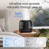 Dreo Humidifiers for Bedroom, 4L Top Fill for Large Room, 36H Runtime, 28 dB Quiet Supersized Cool Mist Air Humidifier for Baby Nursery, Plants, Indoor, Night Light, Easy to Clean & Fill, Black
