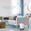 Pure Enrichment MistAire Eva - Mist-Free Evaporative Humidifier with Antibacterial Filter, 2.8-L Tank, 4 Speeds, Large Room Coverage up to 500 sq. ft., Night Light, Auto Shut-Off Timer, No White Dust
