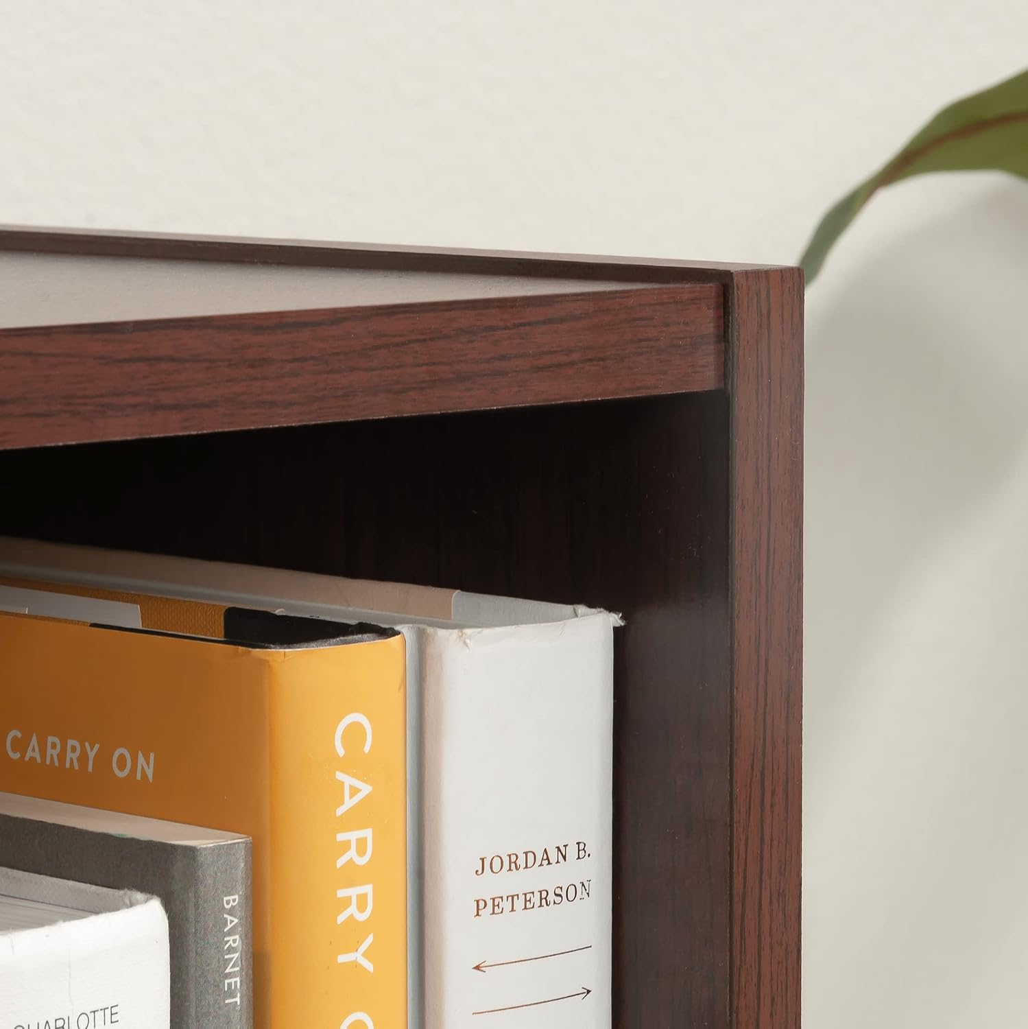 Sauder Beginnings 3-Shelf Bookcase, Bookshelf with Adjustable Storage Shelves, in Brook Cherry finish Sauder Beginnings 3-Shelf Bookcase, Bookshelf with Adjustable Storage Shelves, in Brook Cherry finish - Image 6