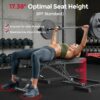 FLYBIRD WB2 Weight Bench, Utility Adjustable Weight Bench for Full Body Workout- Multi-Purpose Foldable Incline Bench (Black) FLYBIRD WB2 Weight Bench, Utility Adjustable Weight Bench for Full Body Workout- Multi-Purpose Foldable Incline Bench (Black)
