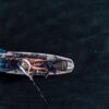 Pelican Catch Mode 110 Kayak with Transom Mount