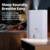 Everlasting Comfort 6L Top Fill Humidifier for Bedroom – Quiet, Easy to Fill & Clean, 60HR Runtime, Night Light, Timer, Ultrasonic Cool Mist, Auto Shut-Off for Indoor Use- White