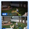 REOLINK Argus PT Ultra First 4K Solar Security Cameras Wireless Outdoor | 360° Pan Tilt Auto-Tracking, 8MP Color Night Vision, 2.4/5 GHz Wi-Fi 6, No Subscriptions, Home Hub Compatible