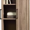 Sauder HomePlus Storage Cabinet/ pantry cabinets, Salt Oak finish