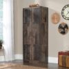 Sauder Select Storage Cabinet, Pantry Cabinet Kitchen Storage with Adjustable Shelves, Utility Room Storage Cabinet, in Reclaimed Pine