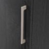 Sauder HomePlus Kitchen Pantry Storage Cabinet Slim Single Door with Adjustable Shelves, Living Room Storage Cabinet, in Raven Oak