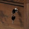 Sauder Clifford Place Lateral File, Grand Walnut finish Sauder Clifford Place Lateral File, Grand Walnut finish